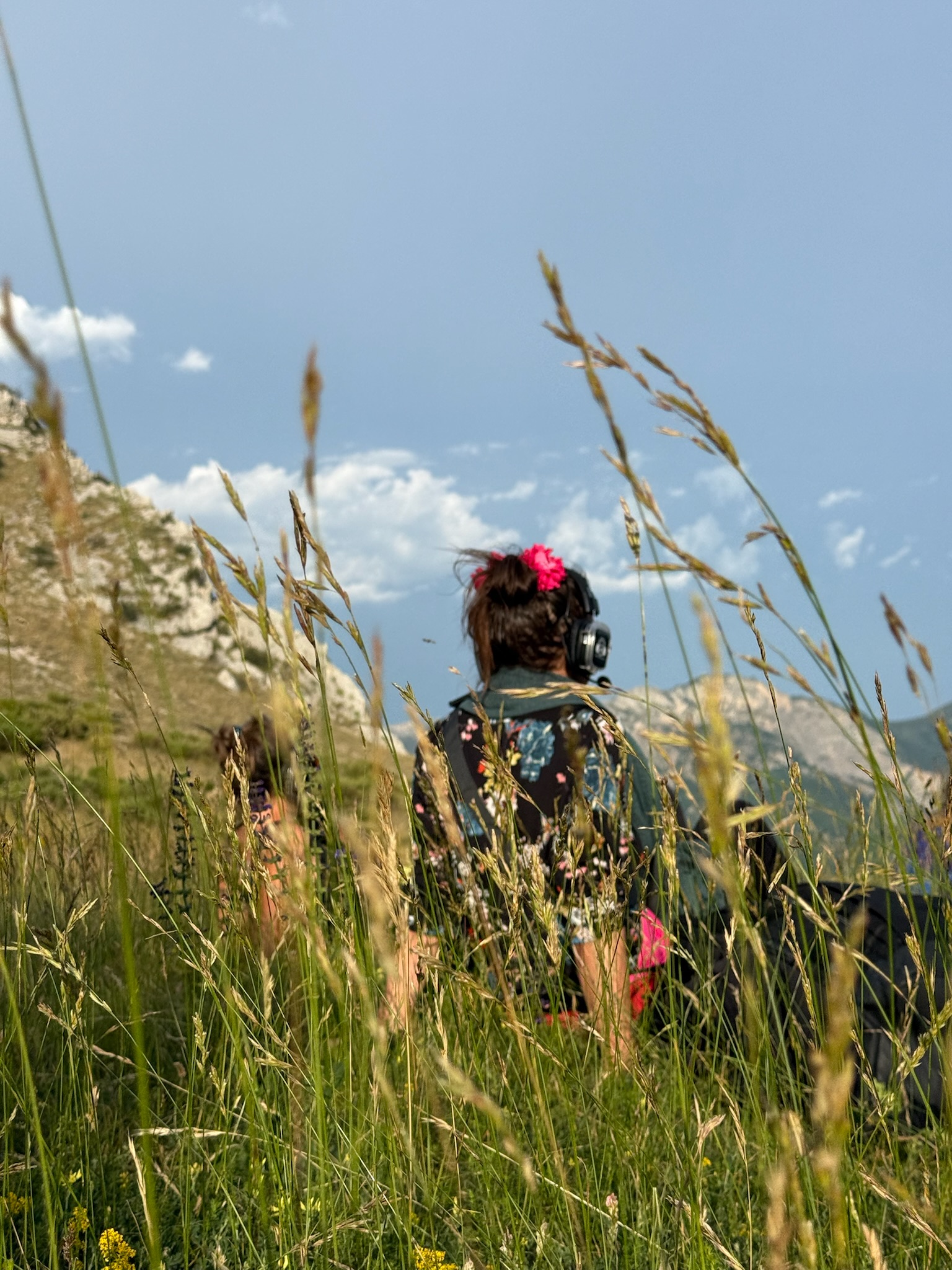 Danse au casque dans les hautes herbes