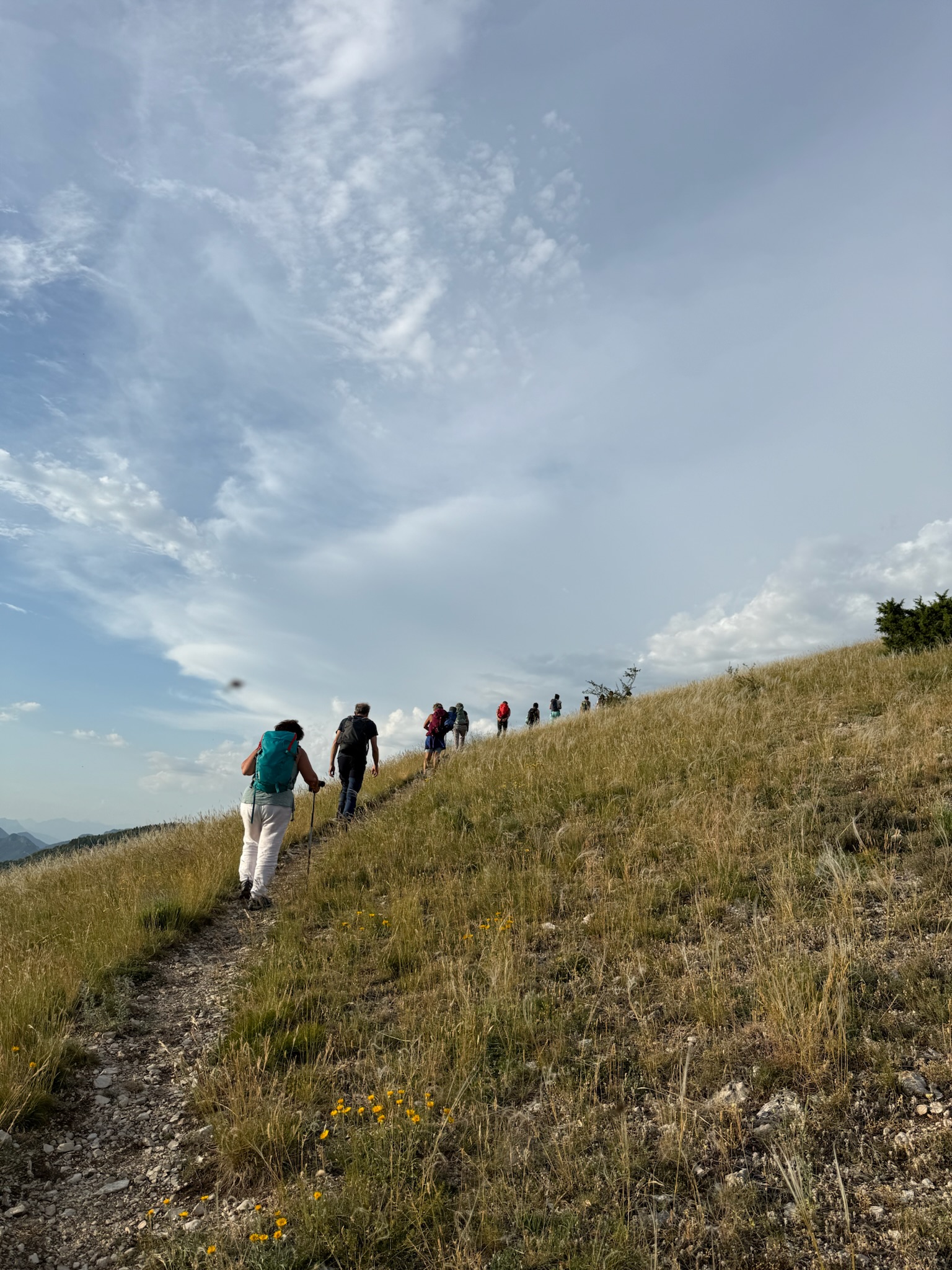 Groupe en randonnée dans les herbes hautes au coucher du soleil